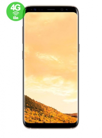 Samsung Galaxy S8+ 64Gb Maple Gold ( )