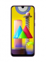 Samsung Galaxy M31 (�������)