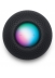  -  - Apple   HomePod mini ( ),  