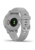   -   - Garmin  Venu 2S Silicone Band Global, Silver Bezel/Mist Gray Case