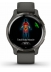   -   - Garmin  Venu 2S Silicone Band Global, Slate Bezel/Graphite Case