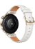   -   - Huawei Watch GT 5 41  (JNA-B19),  