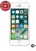   -   - Apple iPhone SE 128Gb ()