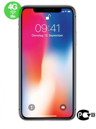 Apple iPhone X 256GB ( )