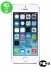  -   - Apple iPhone 5S 16GB LTE ()