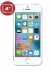   -   - Apple iPhone SE 32Gb ()