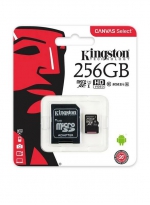Kingston Карта памяти Micro SDXC 256Gb Class 10 