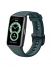  -  - Huawei   Band 6 ( )