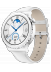   -   - Huawei Watch GT 3 Pro Frigga-B19 , 